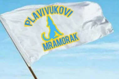 BORBA ZA VRH SE NASTAVLJA: "Plavi vukovi" nastavili uspešni niz - tri laka komada u mreži Pančevaca!