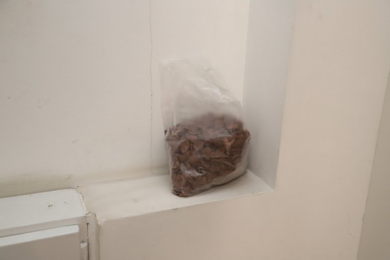 Kesa u hodniku zgrade na Zvezdari