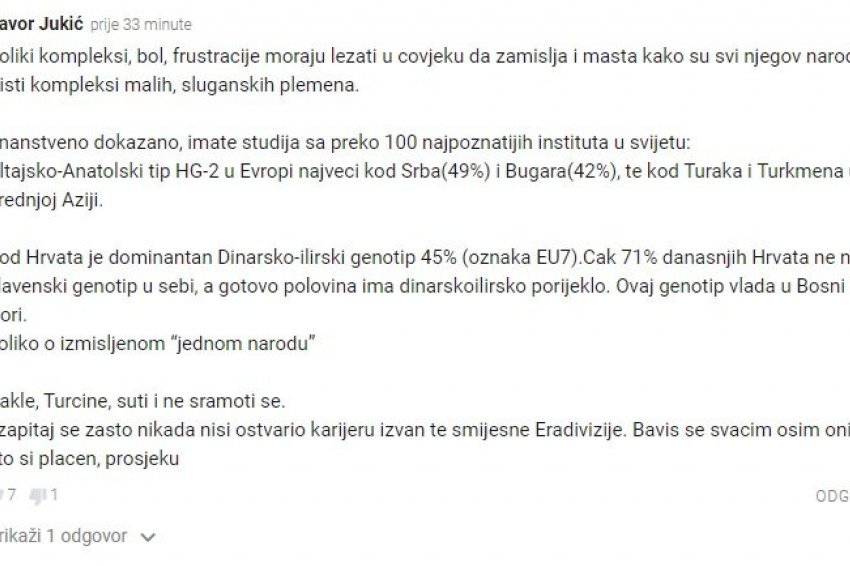 Komentari Hrvata na izjavu Dušana Tadića