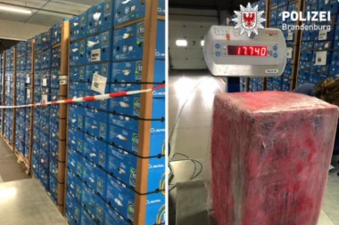 1.2 TONE KOKAINA PRONAĐENO MEĐU BANANAMA! Rekordna zaplena u Brandenburgu! ZAPOSLENI OCINKARIO GAZDU!