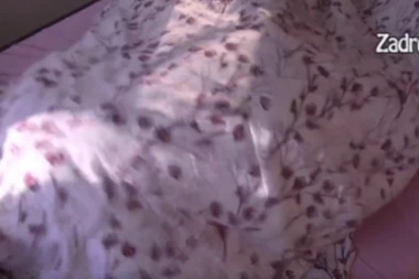 MILJANA I ZOLA RASPALILI STRASTI ISPOD POKRIVAČA: Brutalnija akcija se ne pamti, zidovi će popucati! (18 +VIDEO)
