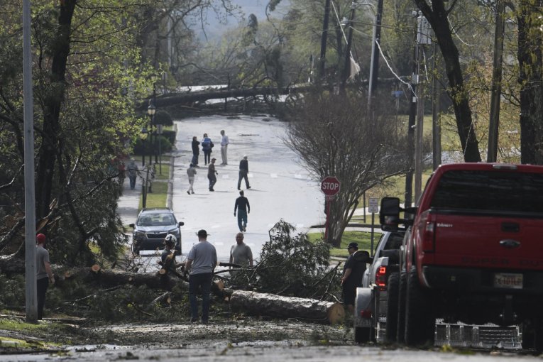 Drveća popadala po ulicama SAD