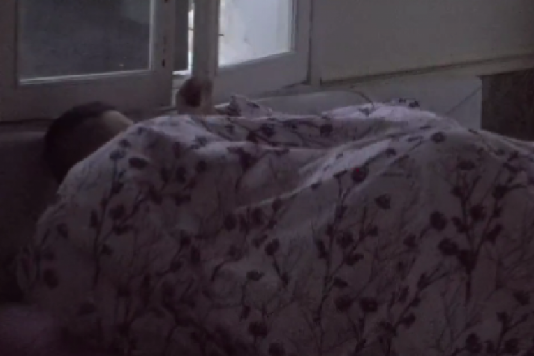 Miljana i Zola vrela akcija