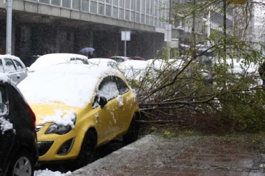 PALO DRVO U KOSOVSKOJ ULICI! Sneg pravi haos širom Srbije, ulice BLOKIRANE! (FOTO)