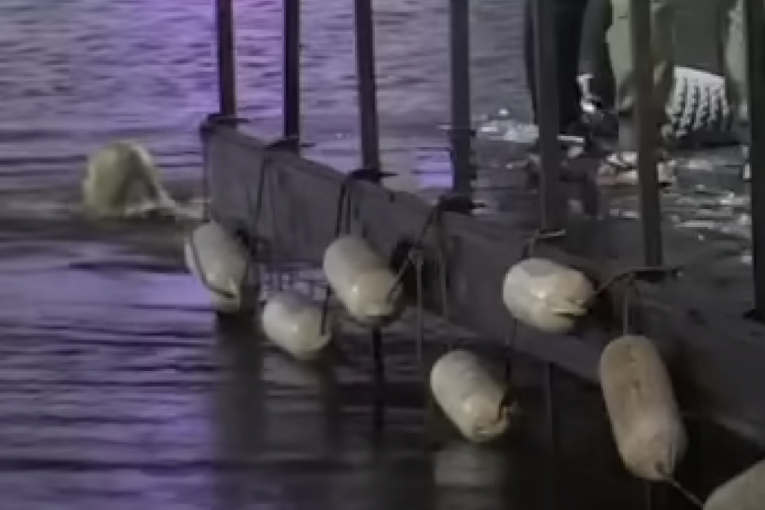 Miljana Kulić skočila u jezero Zadruga 6