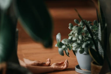 BILJKE KOJE PRIRODNO POBOLJŠAVAJU ZDRAVLJE: Neki kažu da su pravo čudo, a pomažu i kod ozbiljnih stanja