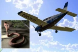 MORALI DA PRIZEMLJE AVION ZBOG KOBRE: Zavukla se ispod pilotovog sedišta, pre toga mu puzila niz leđa!