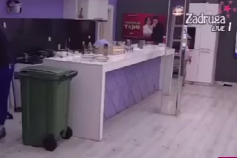 Slađa Lazić Zadruga