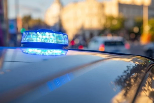 OPTUŽNI PREDLOG SUDU U BEOGRADU PROTIV HULIGANA KOJI SU NAPALI DEJANA VUKA STANKOVIĆA: Nasilnici negirali krivično delo