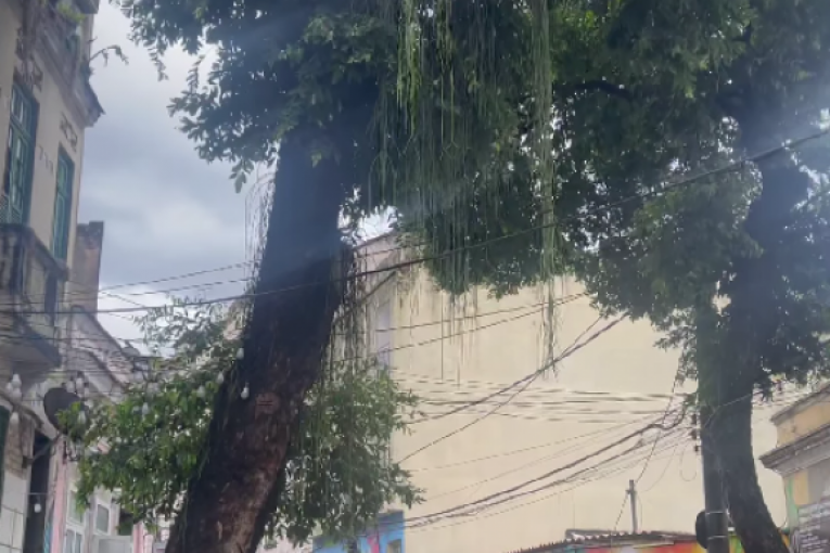 Dara Bubamara otišla na odmor u Brazil slike