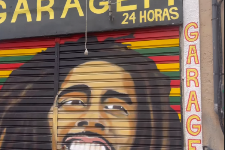 Dara Bubamara otišla na odmor u Brazil slike