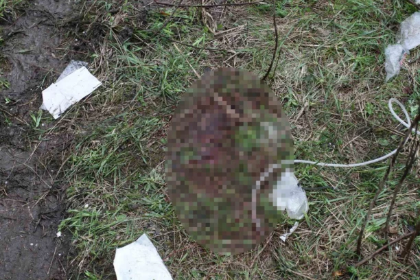 OVO JE MESTO NA KOM JE UBIJENA NESREĆNA DEVOJČICA IZ RIPNJA! Krv na sve strane, DETE ZAKLANO U ŠIBLJU! (FOTO)