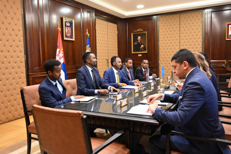 Sastanak ministra Gašića 