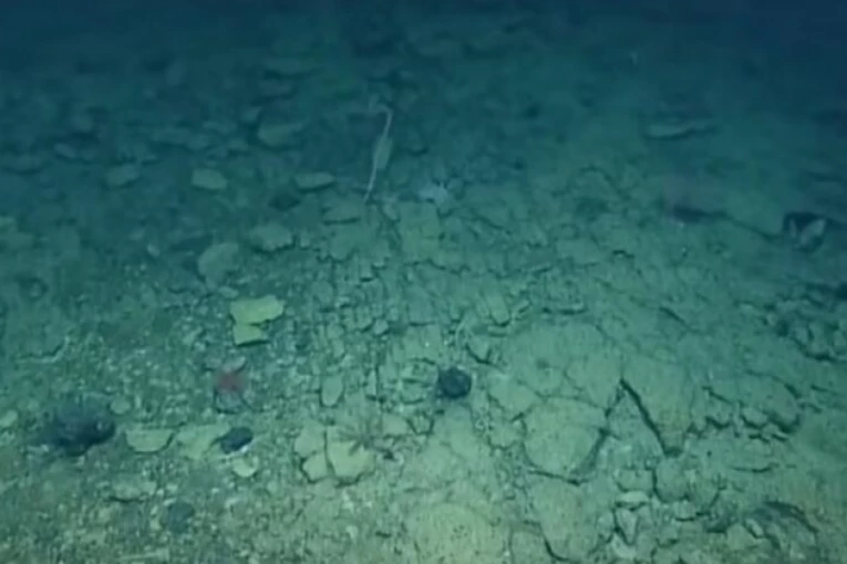 MRAČNE PROGNOZE IZ MORSKIH DUBINA! Naučnici zaronili u Veliku plavu rupu: PRETI NAJCRNJI SCENARIO! (VIDEO)