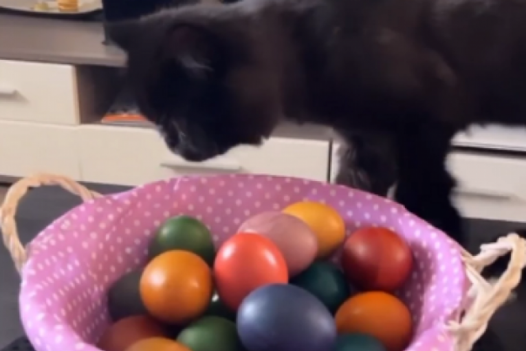 Jelena Vučković pokazala kako je ofarbala jaja