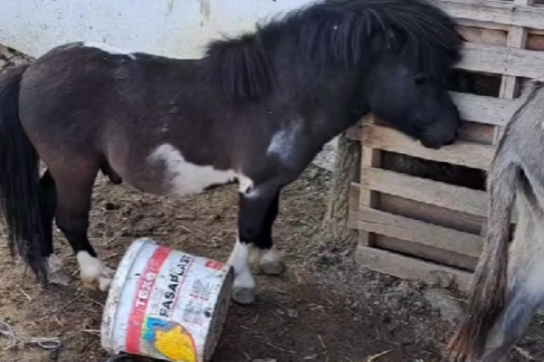 Taki Marinković pobegao iz Srbije nakon skandala u Zadruzi