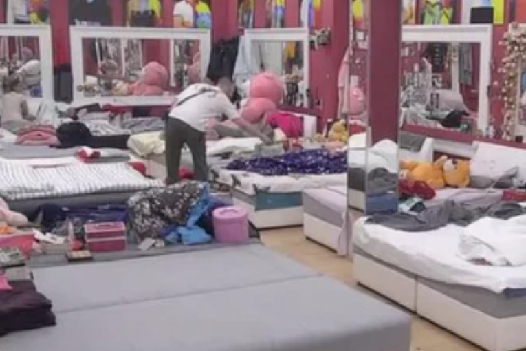 Zvezdan Slavnić krede od Anđele Đuričić