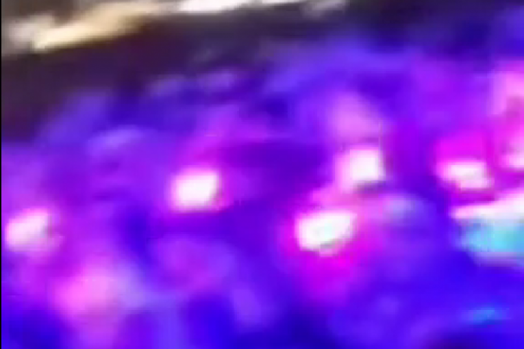 Didi Janković koncert u Americi