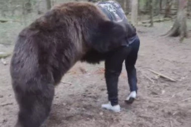 STRAVIČAN  PRIZOR ZAPREPASTIO SVET! Slavni MMA borac uhvatio se u koštac sa MEDVEDOM! Životinja odnela POBEDU! (VIDEO)