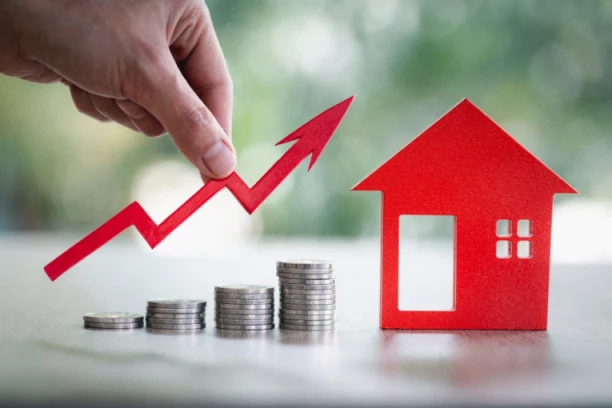 SRBI POLUDELI ZA MONTAŽNIM KUĆAMA! Biraju najčešće OVU kvadraturu, a uvek se traži jeftinija varijanta!