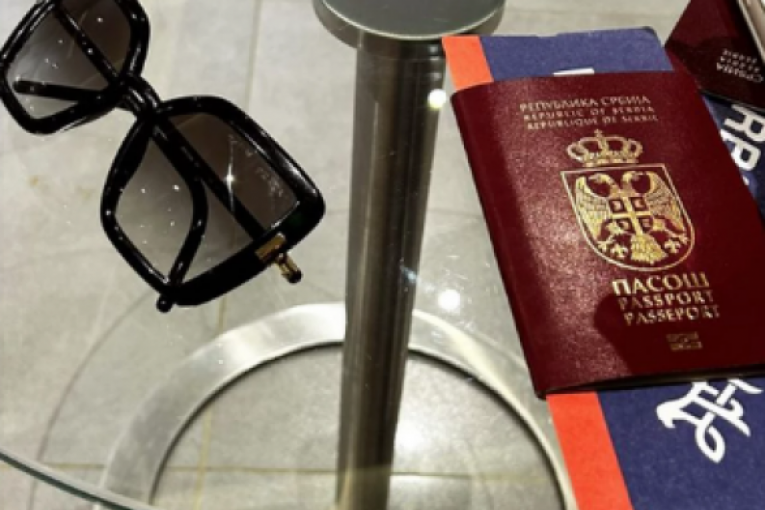 Minino i Ognjenovo putovanje