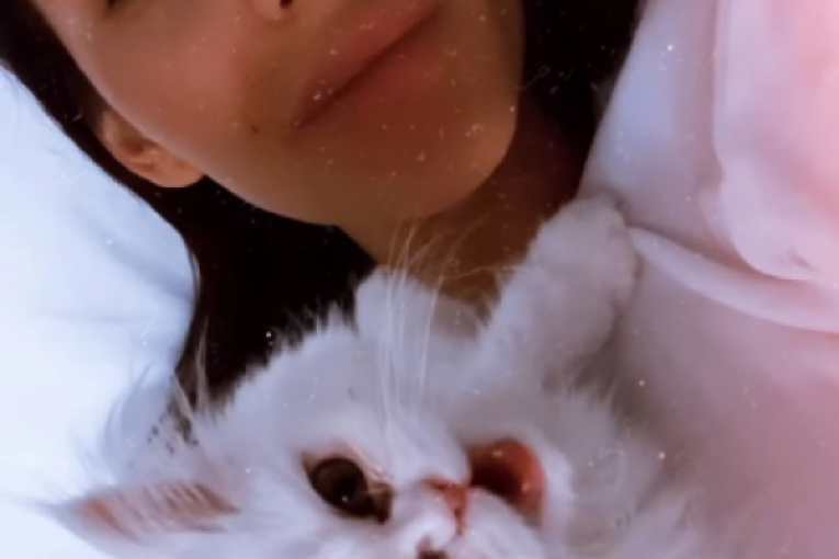 Anastasija Ražnatović Instagram