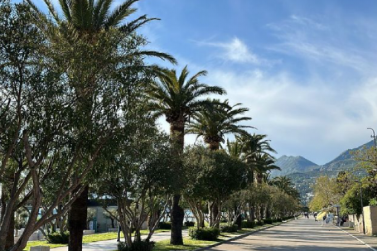 Mensur Ajdarpašić Instagram