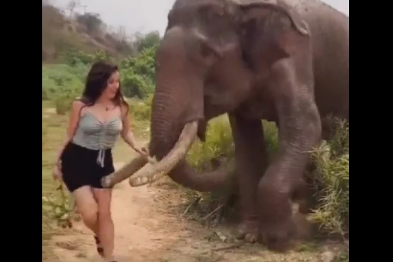 ŽENA PROVOCIRALA SLONA, A ONDA JE ON IZGUBIO STRPLJENJE! Drugarivi od straha ispala kamera (UZNEMIRUJUĆ SNIMAK)
