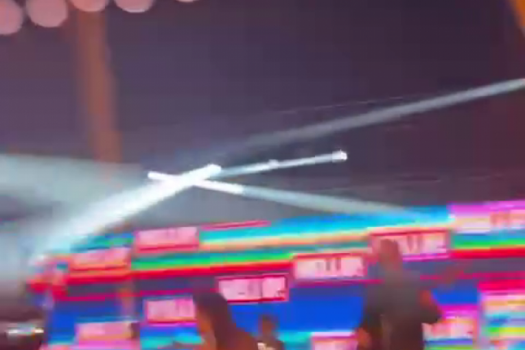 Severina Vučković pala na bini