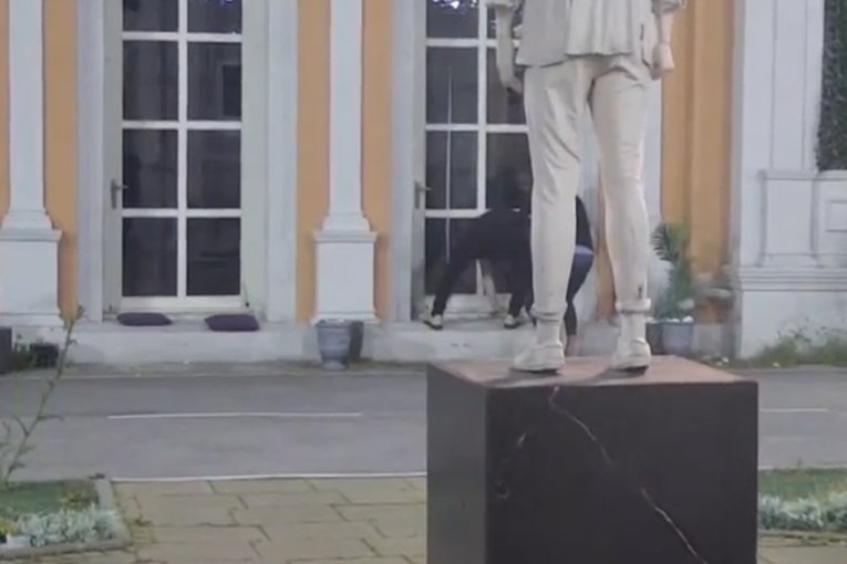 Zvezdan Slavnić Zadruga 6