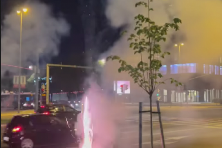 Rođendan Ive Grgurić