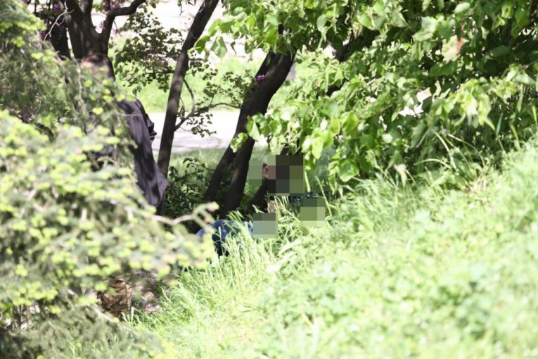 Telo muškarca u žbunju na Kalemegdanu
