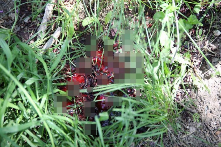 Likva krvi na licu mesta