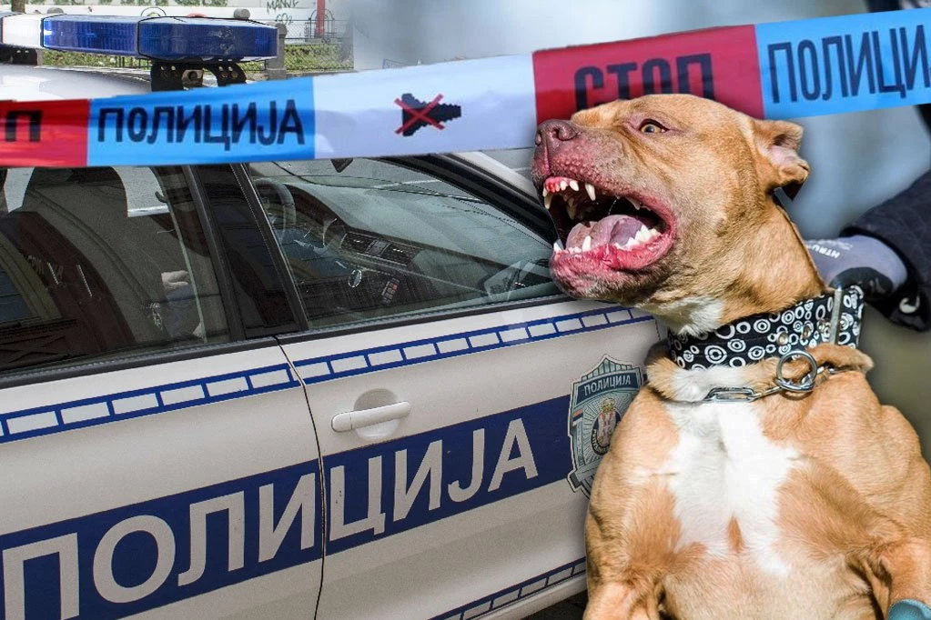 UŽAS U BEOGRADU! Pas izujedao ženu, a posle napao i svog vlasnika!