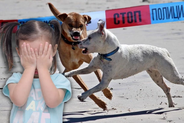 DETE (8) UJEO PAS NA BEŽANIJSKOJ KOSI!