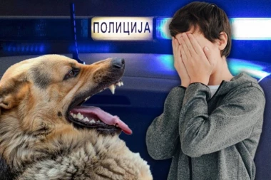DEČAKA (6) UGRIZAO PAS VEZAN ZA STUB! Vlasnica pobegla pre dolaska policije! Detalji drame na Novom Beogradu!