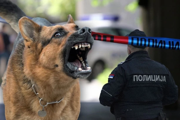 RASTRGLI JE VLASTITI PSI! Starica nastradala kada su je napali pitbul i argentinski pas!