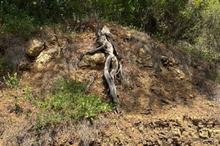 Emina Jahović Instagram