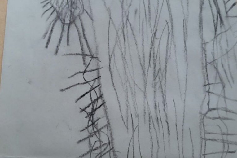 Crteži Frana Pujasa