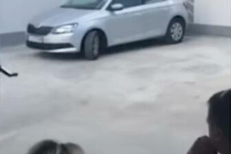 Miljana Kulić kuća