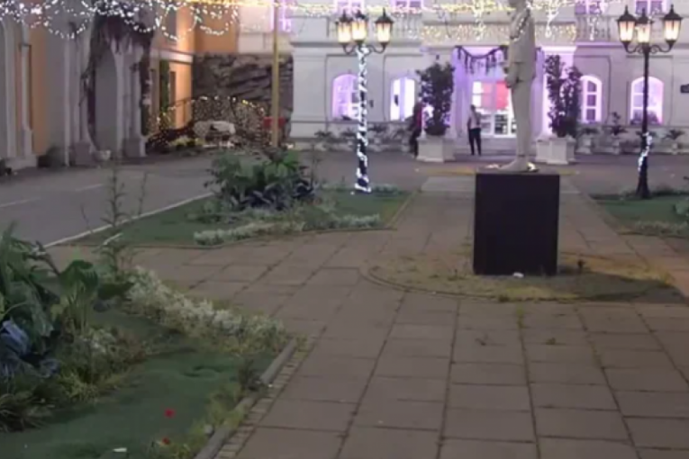 Šetnja Anđele i Zvezdana