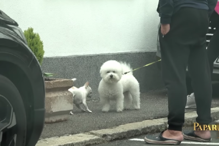 Mile Kitić i ljubimac