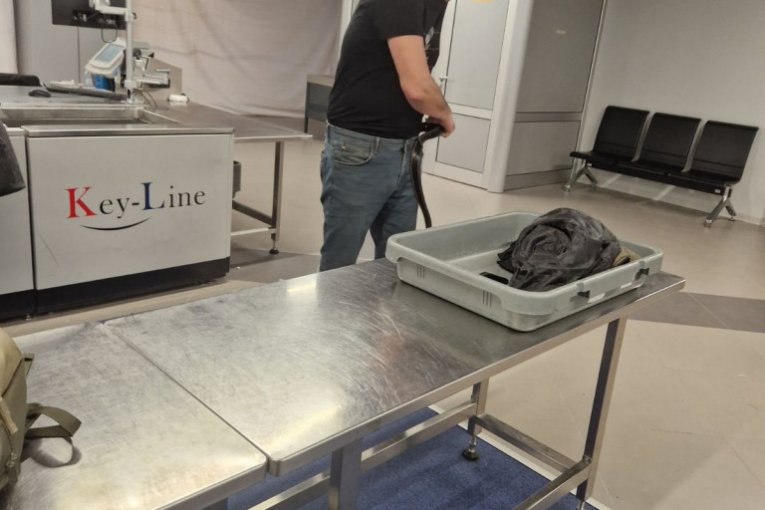 Đuro Palica, paparaco