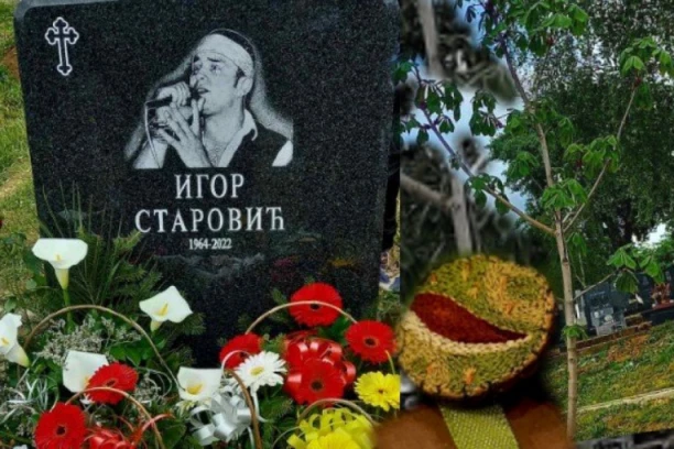 OTKRIVAMO! Pored večne kuće Igora Starovića zasađen KESTEN, dirljiva scena na pomenu tera suze na oči! (GALERIJA)