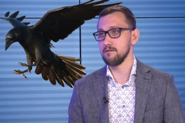 ČUVAJTE SE AGRESIVNIH NAPADA VRANA: Evo šta da radite ukoliko se nađete blizu njihovog gnezda