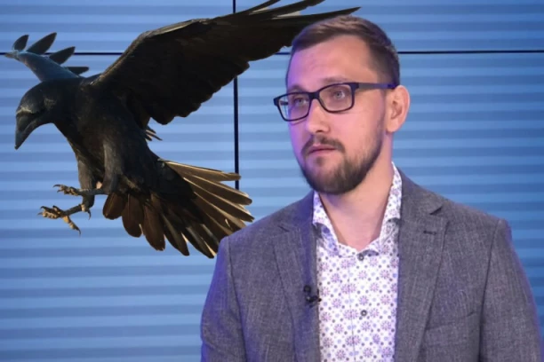 ČUVAJTE SE AGRESIVNIH NAPADA VRANA: Evo šta da radite ukoliko se nađete blizu njihovog gnezda