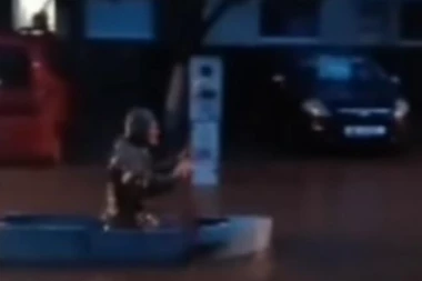 POTOP! DRAMATIČNA NOĆ U NS I KOCELJEVI: Nevreme plavilo, domaćinstva pod vodom, IMA I POVREĐENIH! Novosađanin vesla u čamcu posred ulice (VIDEO)
