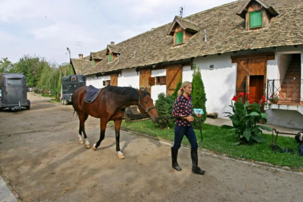 KO GOD IMA OVAJ OBJEKAT DOBIĆE NOVAC OD DRŽAVE: Srbija sprema ozbiljna ulaganja u turizam, evo ko sve ima pravo na finansijsku stimulaciju
