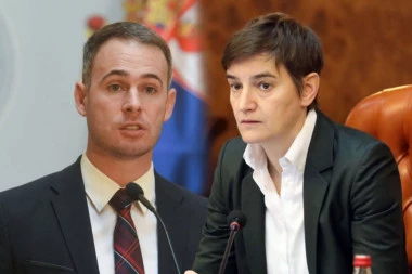 ALEKSIĆ POPLJUVAO EKSPERTA ZA MENTALNO ZDRAVLJE U SRBIJI! Brnabić mu odgovorila OŠTRO: Kako Vas nije sramota?