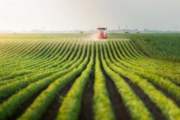 Poljoprivreda kao strateško opredeljenje